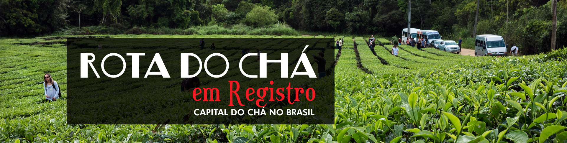 Tea Tour: Rota do Chá em Registro (SP)