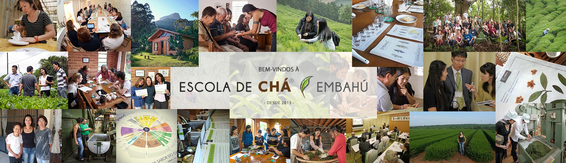 Escola de Chá: cursos de chá e formação de Especialista em Chá Escola de Chá: cursos de chá e formação de Especialista em Chá