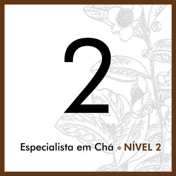 Curso de chá: Especialista em Chá - Nível 2 Curso de chá: Especialista em Chá - Nível 2