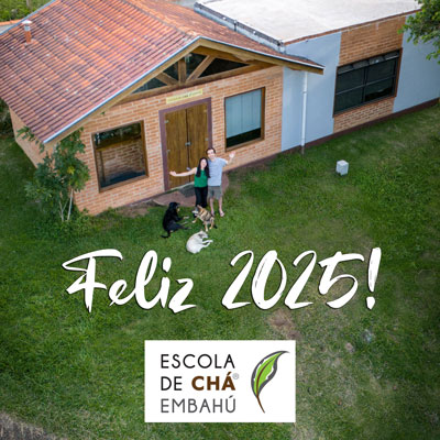 felizanonovo2024-2025-BLOG